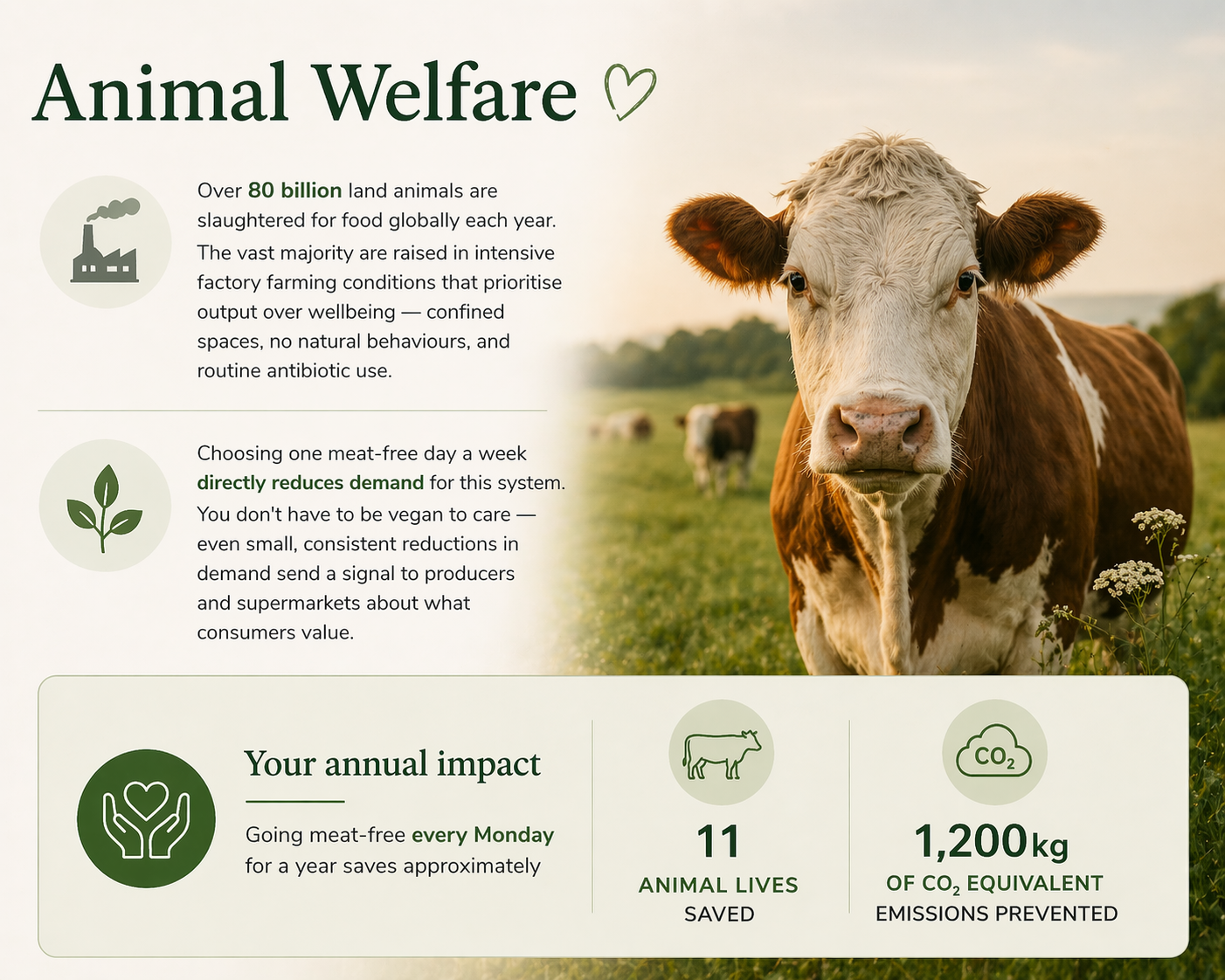 Animal Welfare